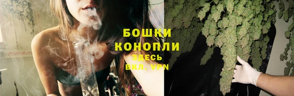 шишки Балахна