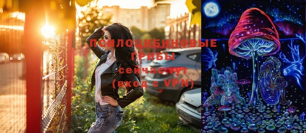 шишки Балахна