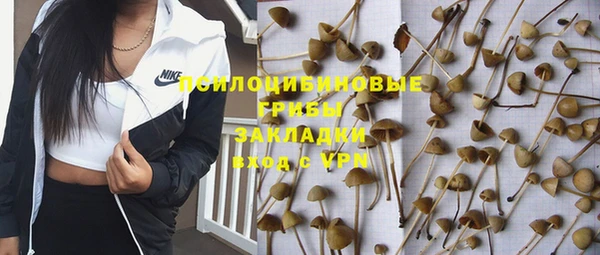 шишки Балахна
